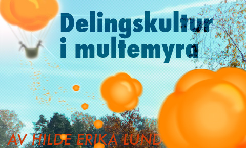 Deling i den kulturelle multemyra