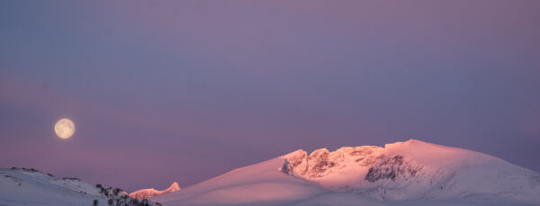 Den nasjonale skattkista NRK ikkje vil låse opp?